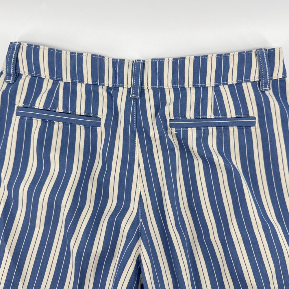 Everlane The Wide-Leg Chino Pants Blue White Stripe High Rise Organic Cotton 4 - Picture 5 of 11